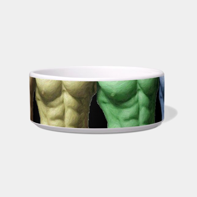 Rainbow Abs Pet Bowl Voerbakje (Voorkant)
