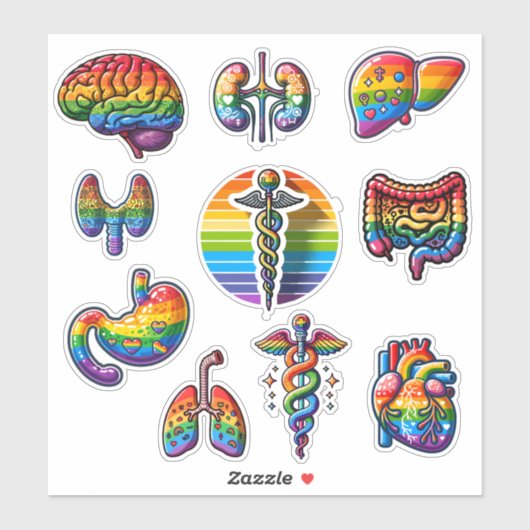 Rainbow Anatomy Sticker (Vel)