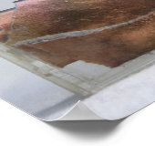 Rainbow and Abstract Bird K7 1986 Mixed-media P Poster (Hoek)