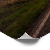 Rainbow And Road Poster (Hoek)