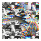 Rainbow Assault Kubus (Voorkant)