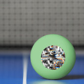 Rainbow Assault Ping Pong Ball (Net)