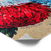 Rainbow Asters Vloerzaadcatalogus Poster (Hoek)