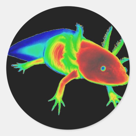 Rainbow Axolotl Stickers (Voorkant)