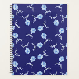 Rainbow Bacteriophages Planner