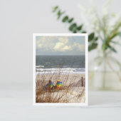 Rainbow Beach Chairs Briefkaart (Staand voorkant)