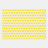 Rainbow Beachball Crab Sun Beach Seashore Holiday Inpakpapier Vel (Voorkant 2)