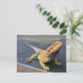 Rainbow Bearded Dragon Briefkaart (Staand voorkant)
