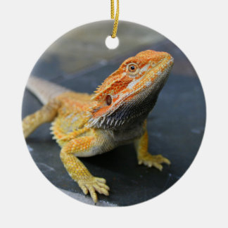 Rainbow Bearded Dragon Keramisch Ornament