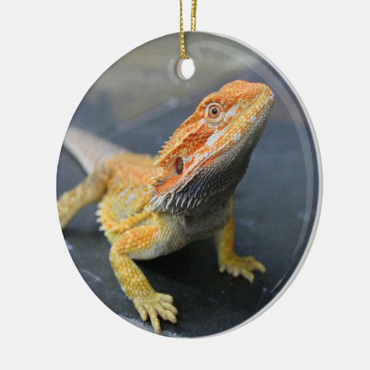 Rainbow Bearded Dragon Keramisch Ornament (Links)