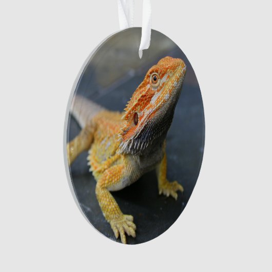 Rainbow Bearded Dragon Ornament (voorkant)