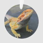 Rainbow Bearded Dragon Ornament (voorkant)