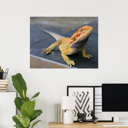Rainbow Bearded Dragon Poster (Thuiskantoor)