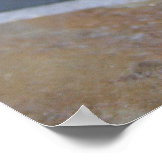 Rainbow Bearded Dragon Poster (Hoek)