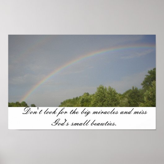 Rainbow Beauties Poster (Voorkant)