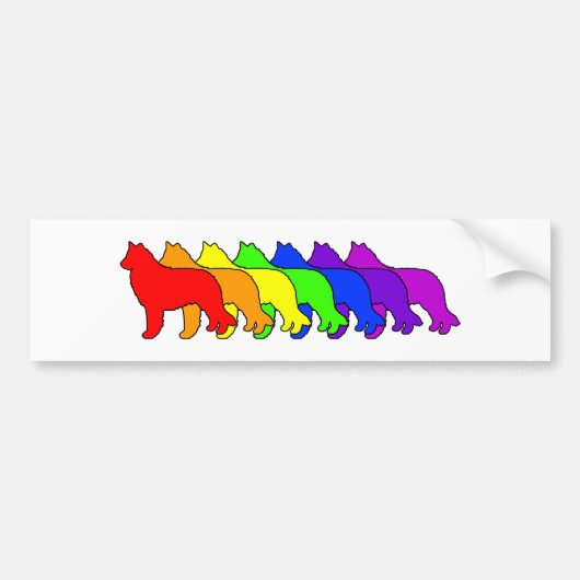 Rainbow Belgische Sheepdog Bumpersticker (Voorkant)