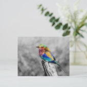 Rainbow Bird Briefkaart (Staand voorkant)