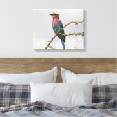 Rainbow Bird Foto Canvas Afdruk (Insitu (Slaapkamer))