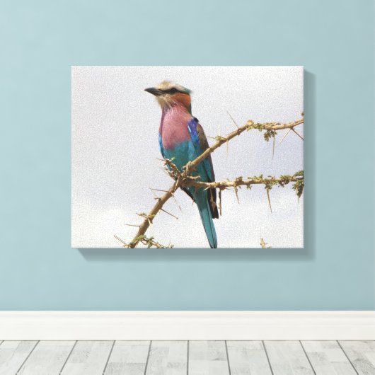 Rainbow Bird Foto Canvas Afdruk (Insitu (Houten vloer))