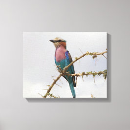 Rainbow Bird Foto Canvas Afdruk