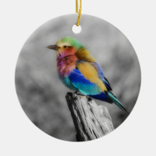 Rainbow Bird Keramisch Ornament