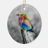 Rainbow Bird Keramisch Ornament (Links)