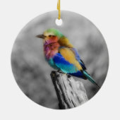 Rainbow Bird Keramisch Ornament (Achterkant)