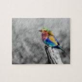Rainbow Bird Legpuzzel (Horizontaal)