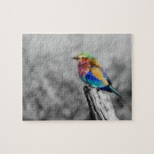 Rainbow Bird Legpuzzel (Horizontaal)