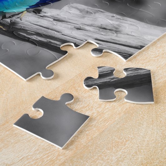 Rainbow Bird Legpuzzel (Zijkant)