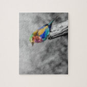Rainbow Bird Legpuzzel (Verticaal)