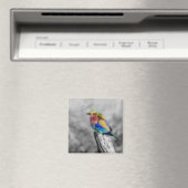 Rainbow Bird Magneet (Insitu (Vaatwasser))