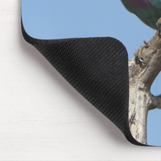 Rainbow Bird Muismat (Hoek)