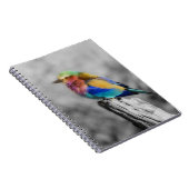 Rainbow Bird Notitieboek (Rechterzijde)