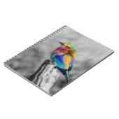 Rainbow Bird Notitieboek (Linkerzijde)