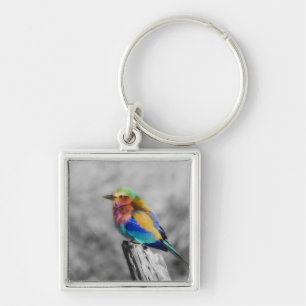 Rainbow Bird Sleutelhanger