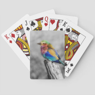 Rainbow Bird Speelkaarten