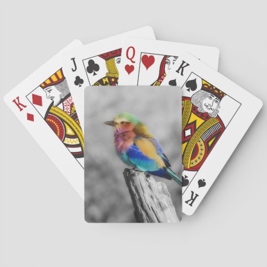 Rainbow Bird Speelkaarten (Achterkant)
