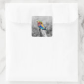 Rainbow Bird Vierkante Sticker (Tas)