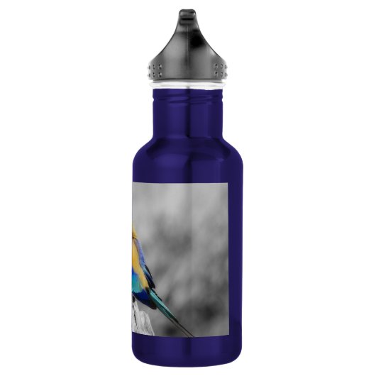 Rainbow Bird Waterfles (Rechts)