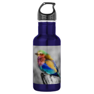 Rainbow Bird Waterfles