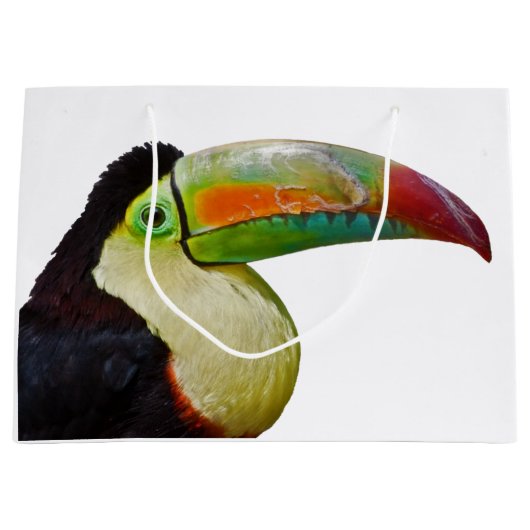 Rainbow Bled Toucan Gift Bag Large Cadeautasje (Voorkant)