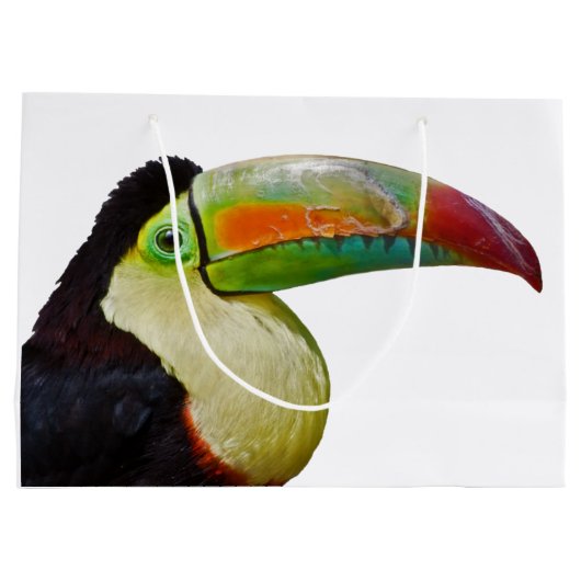 Rainbow Bled Toucan Gift Bag Large Cadeautasje (Achterkant)