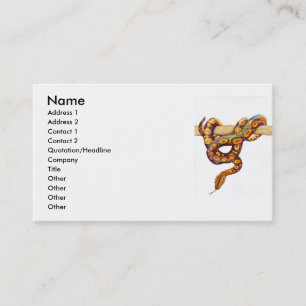 Rainbow Boa Snake Profile Card Visitekaartje