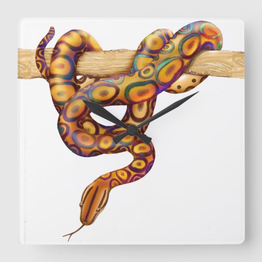 Rainbow Boa Snake Wall klok (Voorkant)
