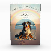 Rainbow Bridge-Beach Custom Pet Fotoblokken (Voorkant)