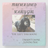 Rainbow Bridge Comfort Pet Memorial Keepsake Stenen Onderzetter (Voorkant)