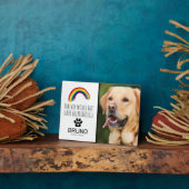 Rainbow Bridge | Dierbaar Gedenkteken Fotoplaat (Zijkant)