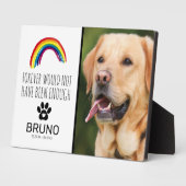 Rainbow Bridge | Dierbaar Gedenkteken Fotoplaat (Zijkant)