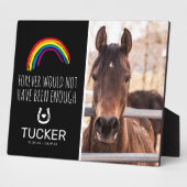 Rainbow Bridge | Dodenherdenking Paard Geschenk Fotoplaat (Zijkant)
